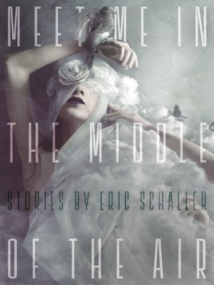 cover image of Meet Me in the Middle of the Air